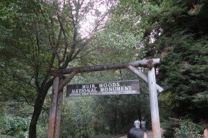 Muir Woods Eingang